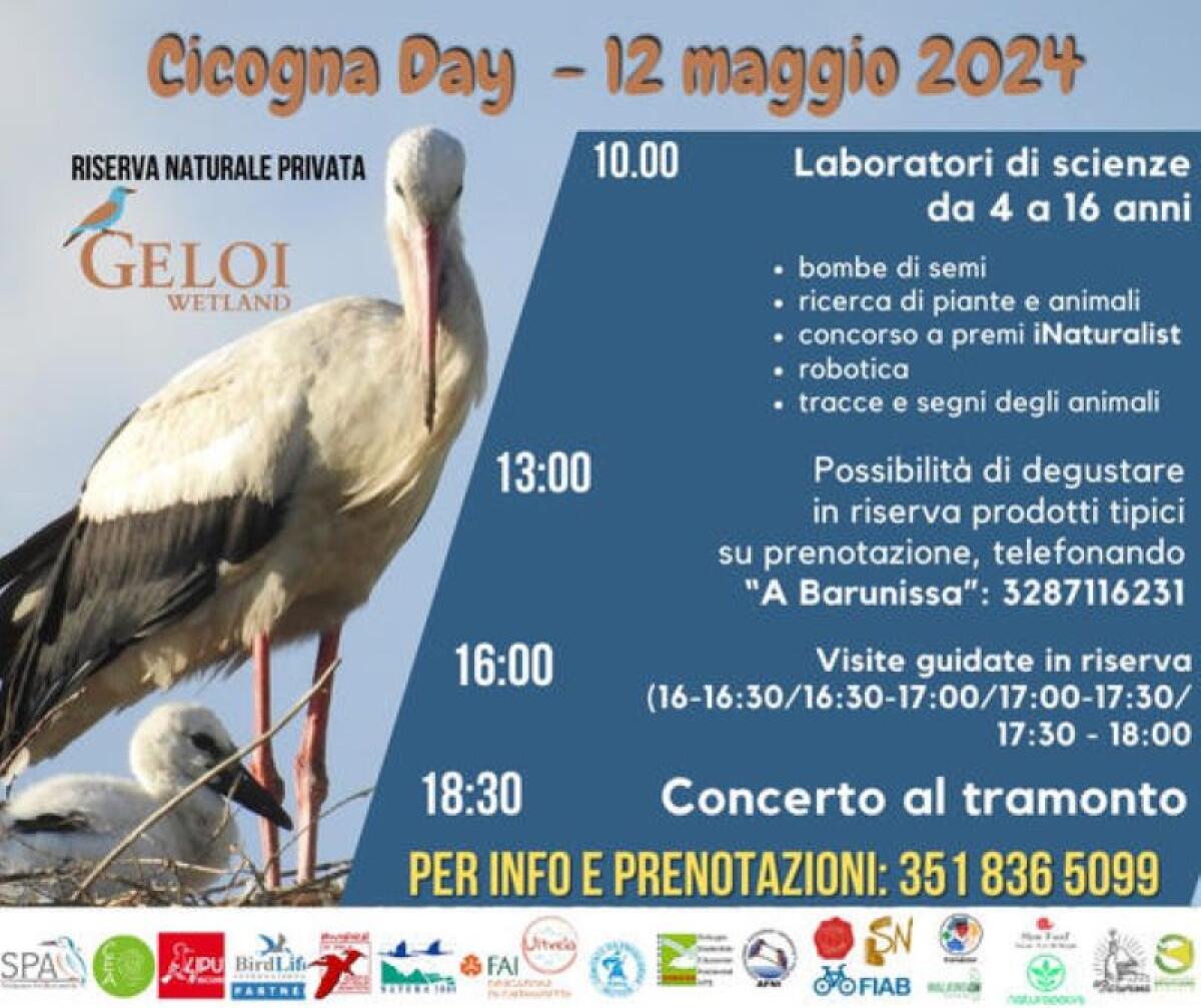 Natura, musica e biodiversità, domenica intera giornata con "Cicogna day" a Geloi Wetland - 