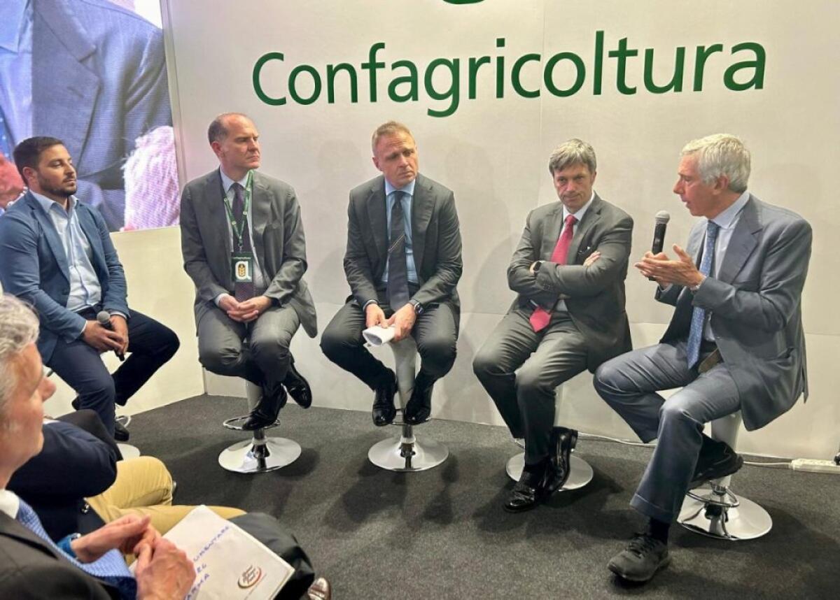 Filiera del pomodoro da industria, il nuovo progetto di Mediterranea -