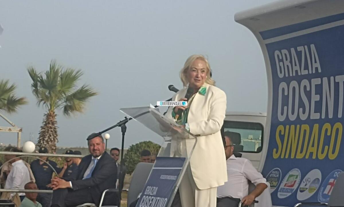 "Faremo valutazione voto insieme agli alleati", Cosentino: "Ho intenzione di stare in consiglio" - L'ingegnere Cosentino durante una convention elettorale