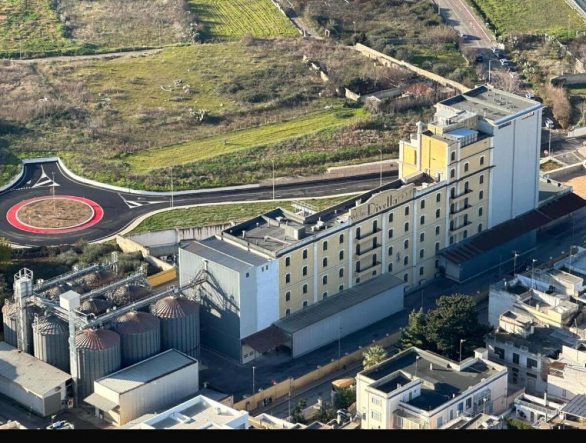 Tecnologia avanzata e IA al servizio di molini sempre più competitivi - 