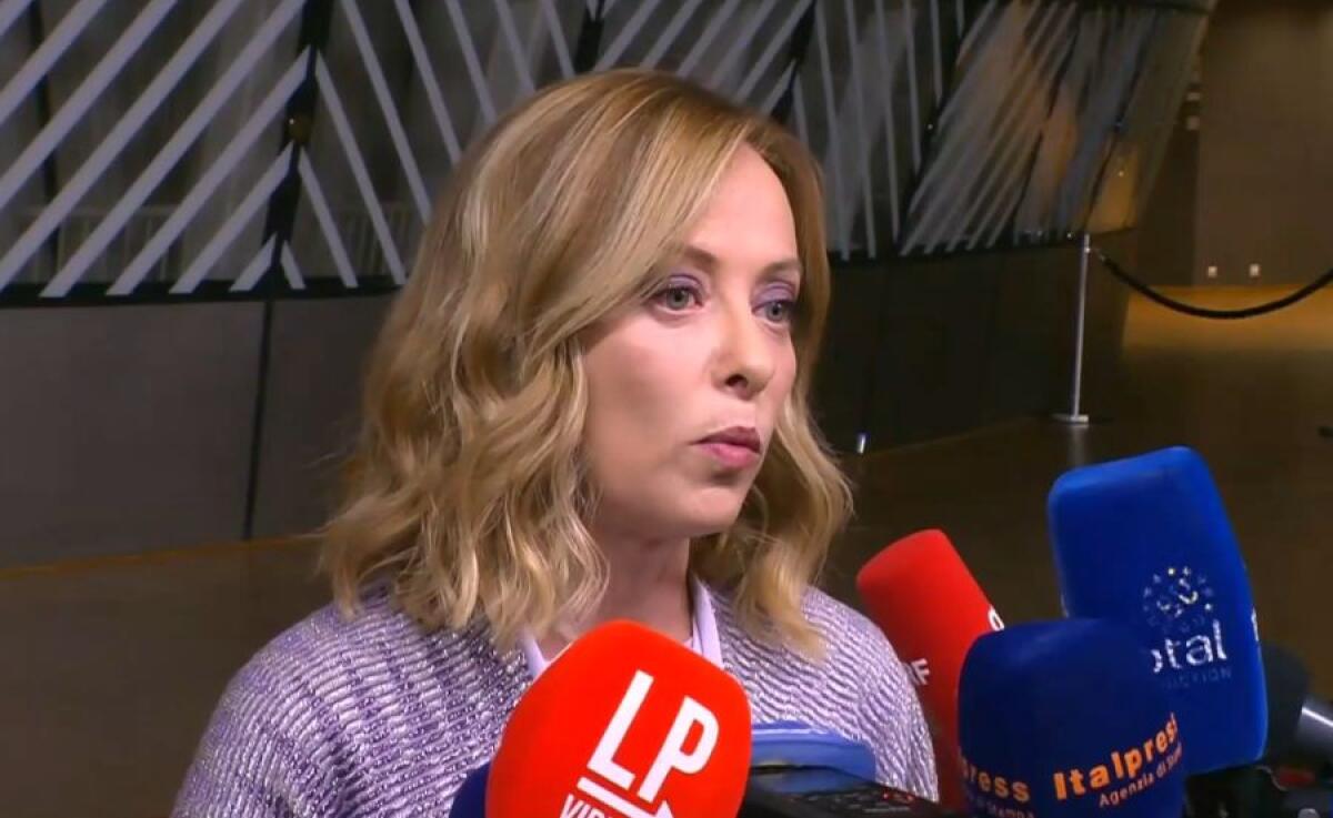Meloni “Sentimenti razzisti incompatibili con nostra linea politica” - 