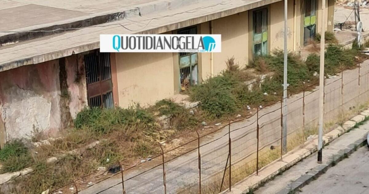 Mercato ortofrutticolo, in attesa dei lavori di riqualificazione condizioni rimangono al limite - 