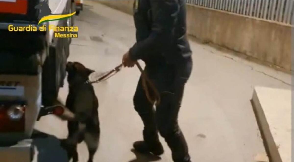 Cinque chili di cocaina nella loro automobile, patteggiamento per una coppia di coniugi - 