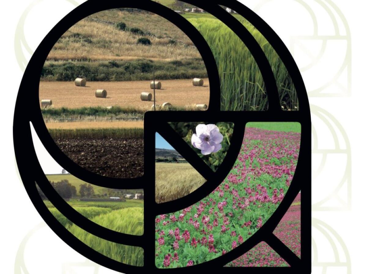 Al via a Palermo la Conferenza internazionale Ispamed 2024 - 