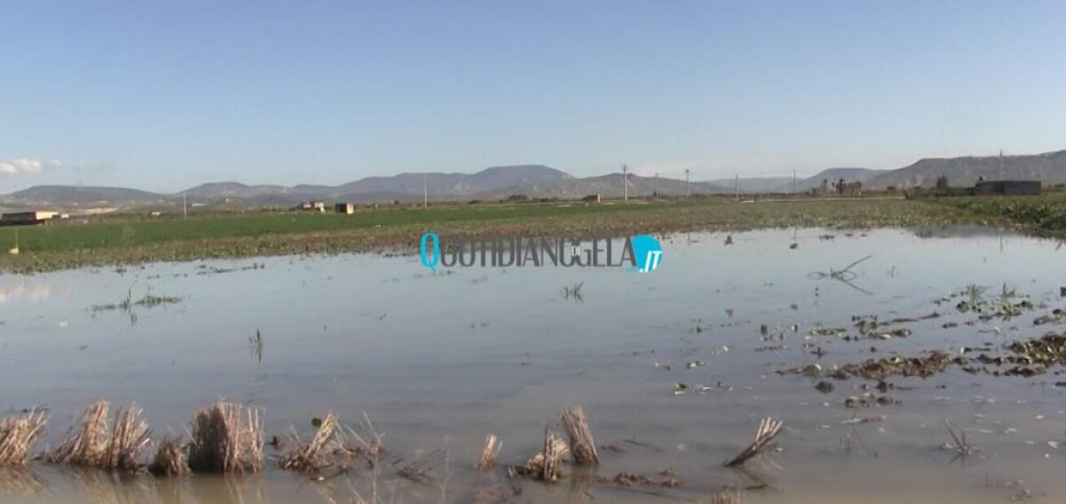 Invasi artificiali e l'accusa di furti d'acqua nelle campagne, operatori agricoli assolti - 