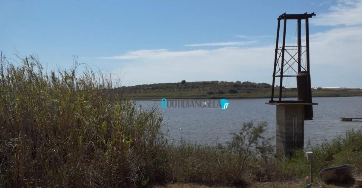 Emergenza idrica, timori per il Biviere: "Livelli ancora giù, alla politica non interessa" - Il lago Biviere