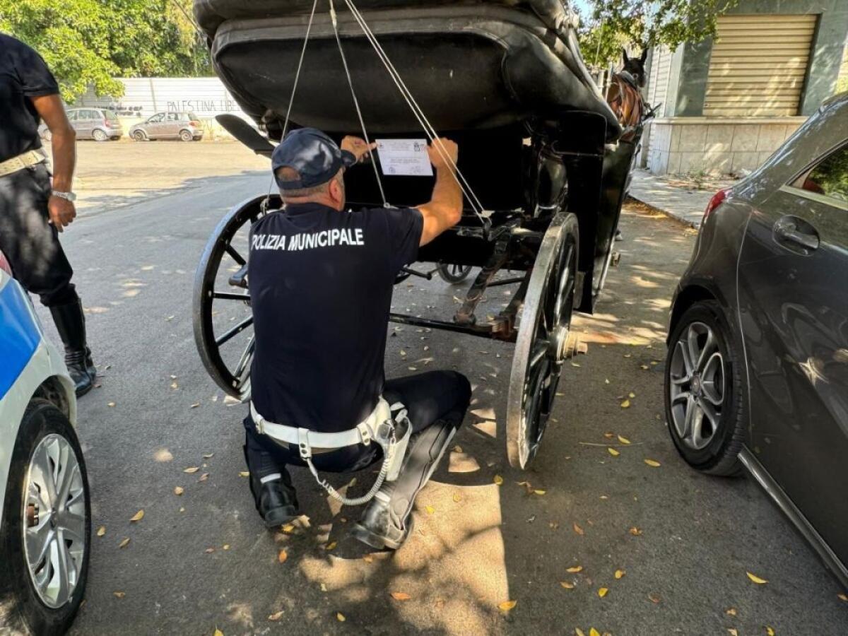 Sequestrata una carrozza a Palermo, Ferrandelli “Attività scrupolosa” - 