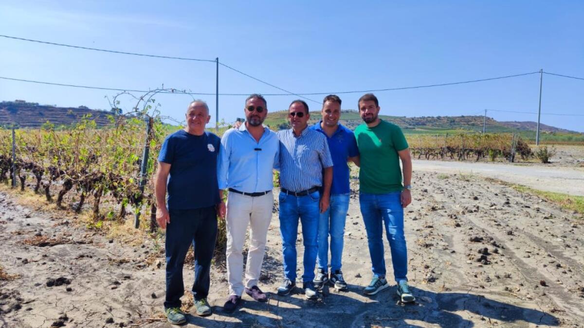 Danni alle colture del territorio, Scuvera dagli agricoltori: "Contatti con il governo regionale" -
