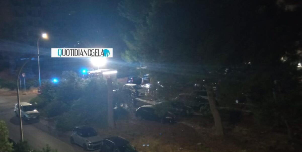 Macchitella, albero cede: è finito al suolo in un piazzale a poca distanza dalla movida -