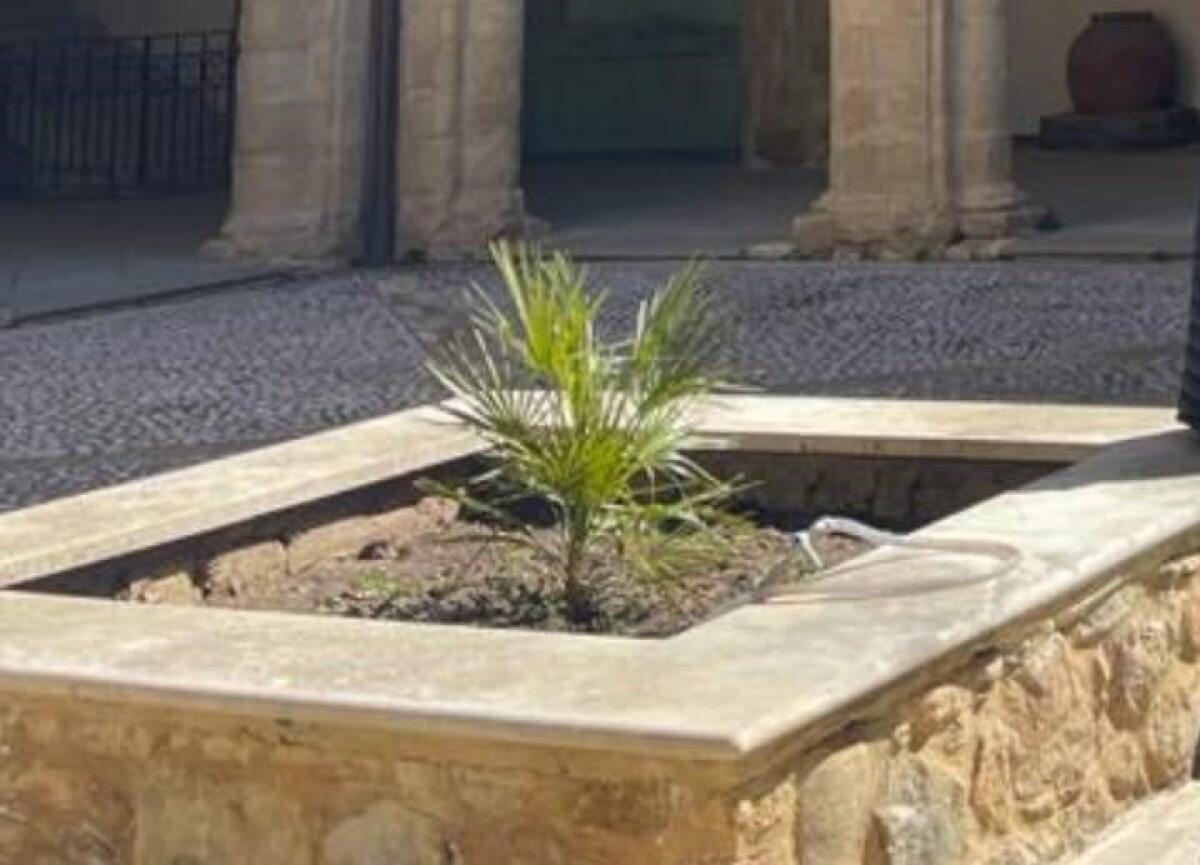 Mazzarino, D'Aleo e Vicari: "Chi ha rimosso l'aiuola del chistro comunale?" -