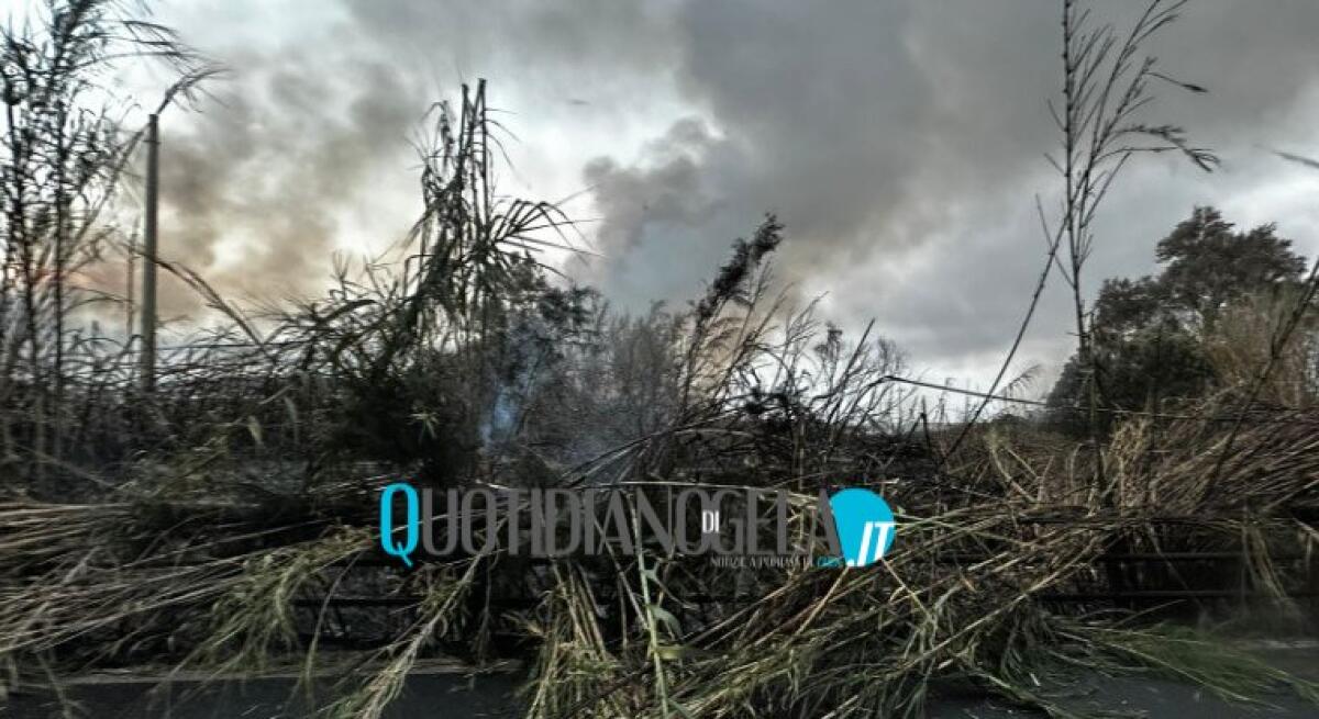 Fiamme sulla Gela-Scoglitti, una vasta area avvolta da un incendio - 