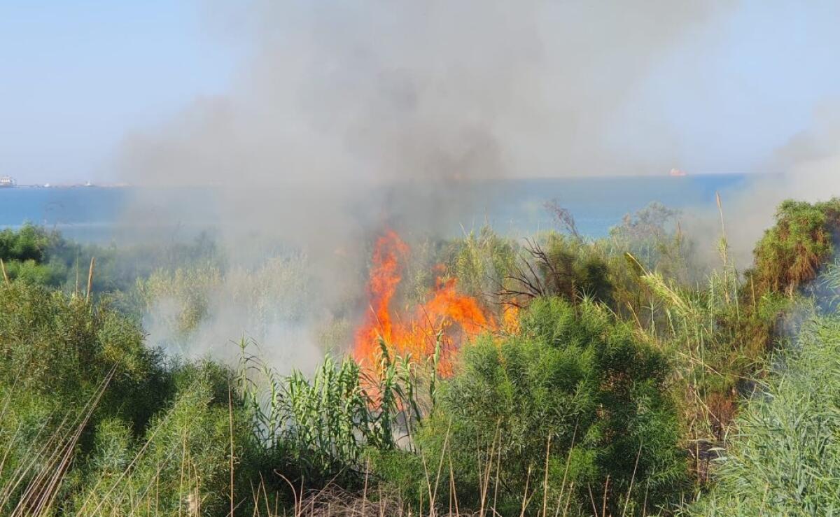 Rogo in un'area del costone sul lungomare, fiamme bloccate dopo ore di interventi - 