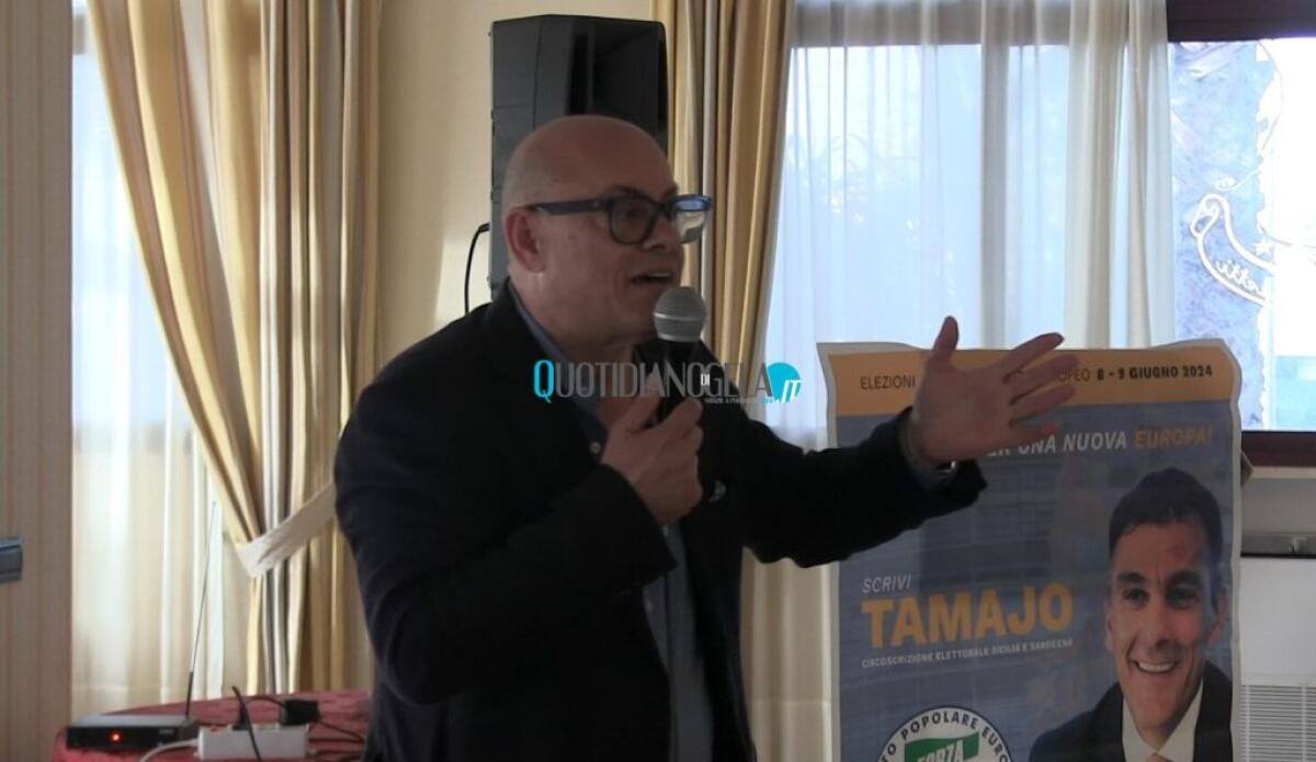 "Incontro con Mancuso, FI vuole crescere", Pepe: "Evitiamo divisioni con chi si rivede in Falcone" - Vincenzo Pepe durante una convention elettorale di Forza Italia