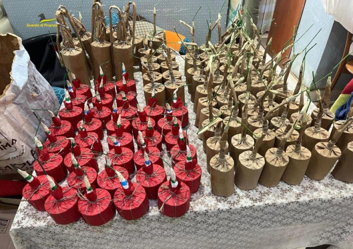 Foggia, sequestrati 500 kg di esplosivi, droga e denaro - 