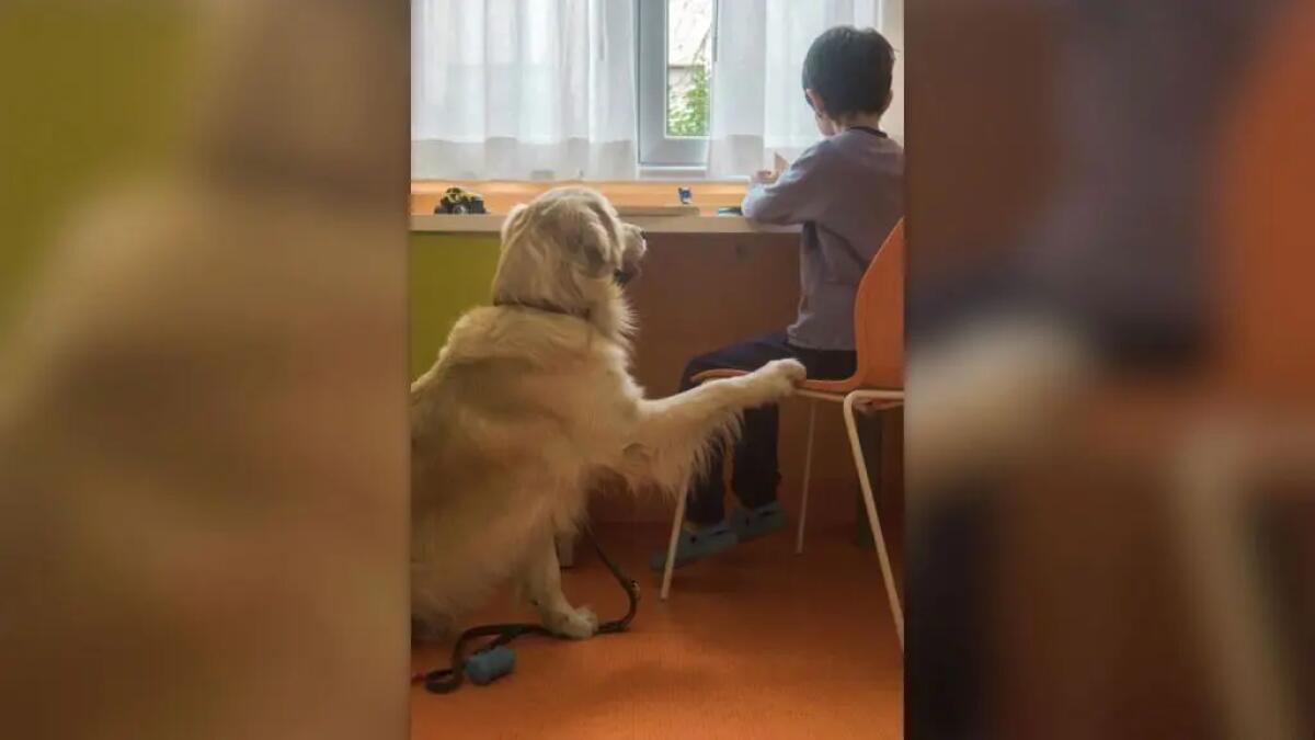 Purina insieme a Fridàs Friends per la Pet Therapy al Fatebenefratelli - 