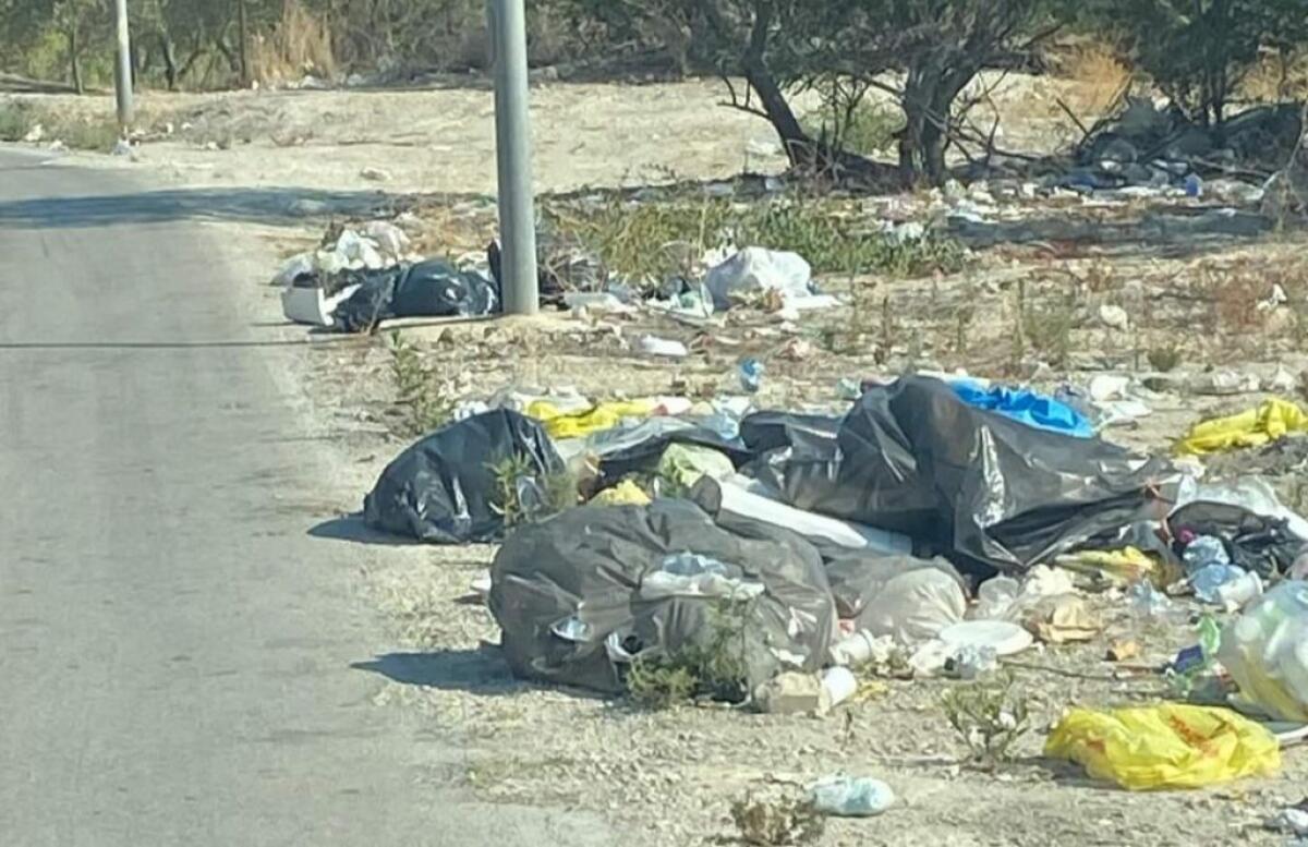 Rifiuti, verifica commissione con i comitati di quartiere: fototrappole a società esterna - 