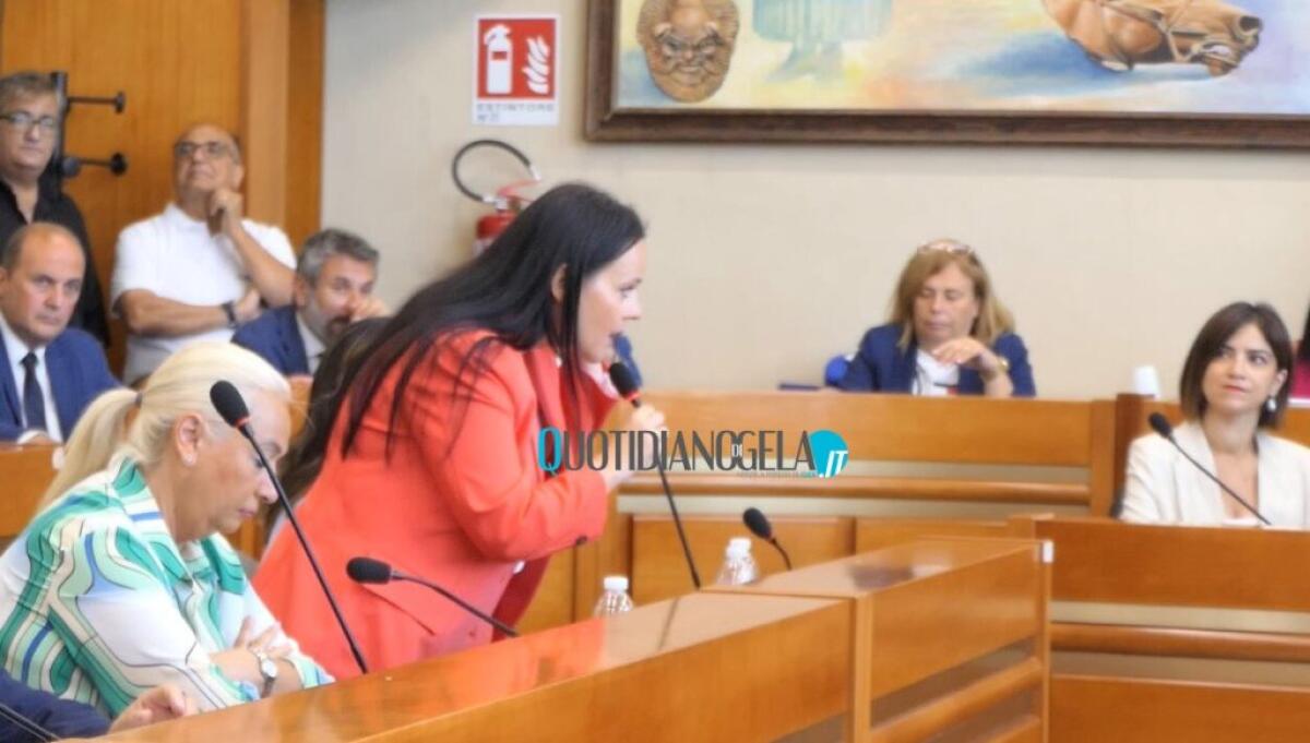 Forniture idriche a zone non coperte, Cavallo: "Mio emendamento per ridurre i costi agli utenti" - Il consigliere Sara Cavallo
