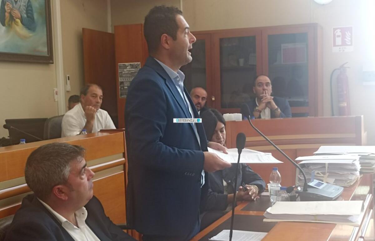 "Su ampliamento Srr e sindaco non fecero osservazioni", Di Stefano: "Non siamo contro a priori" - Di Stefano in aula consiliare