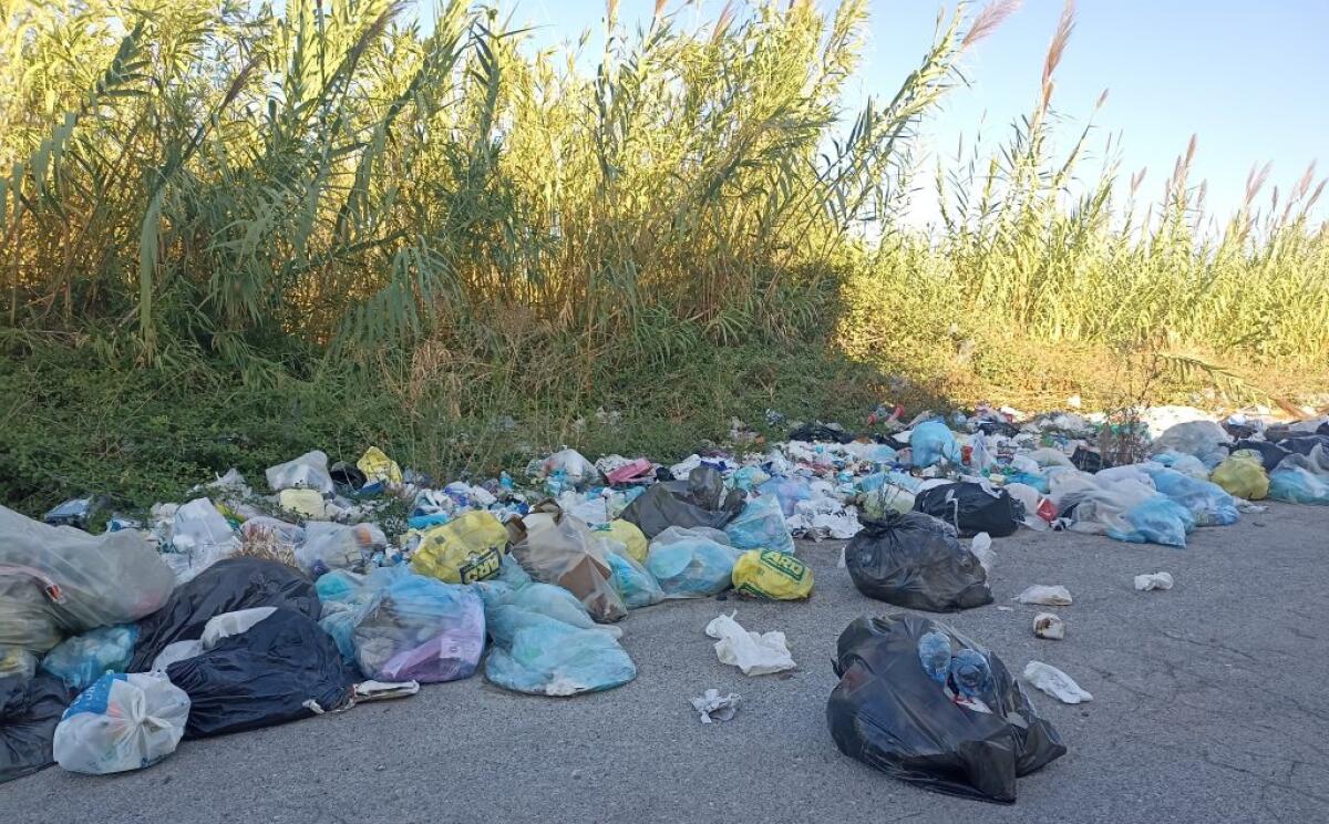 Rifiuti di ogni tipo nelle aree limitrofe alla zona industriale, strade trasformate in discariche - 