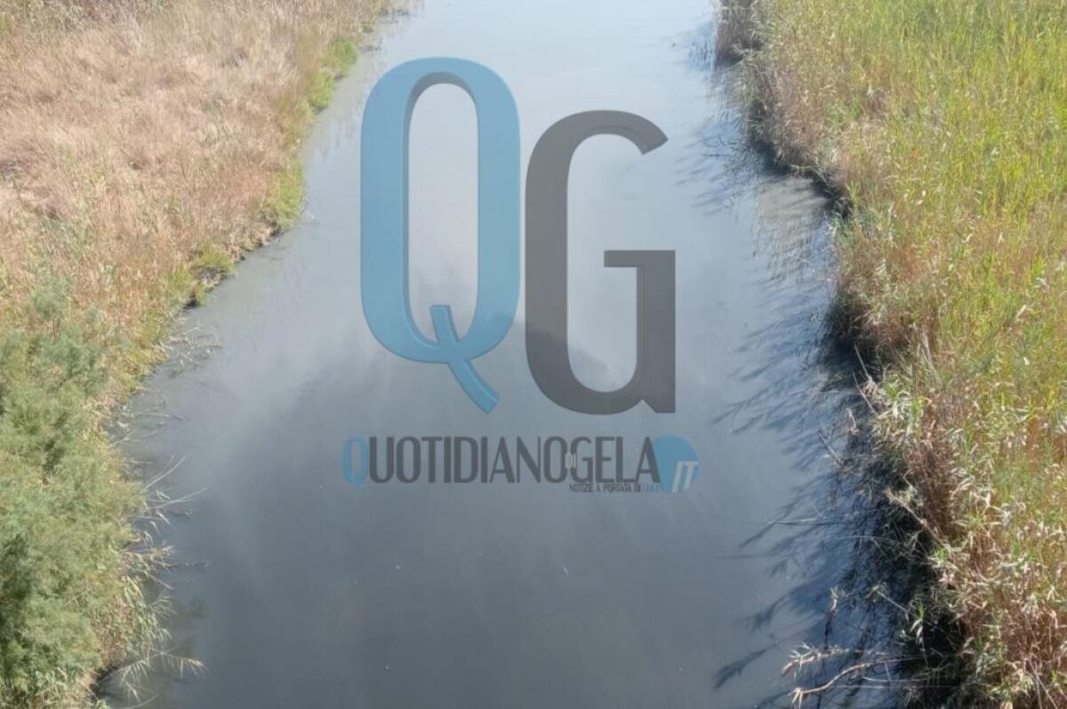 Fiume Gela, acque nere e cattivi odori: "Denunciamo da anni ma non ci sono mai responsabili" - Immagine repertorio
