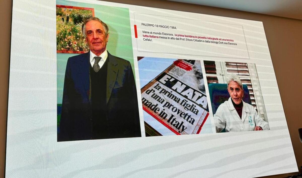 A Palermo corso di Procreazione Medicalmente Assistita di I livello - 