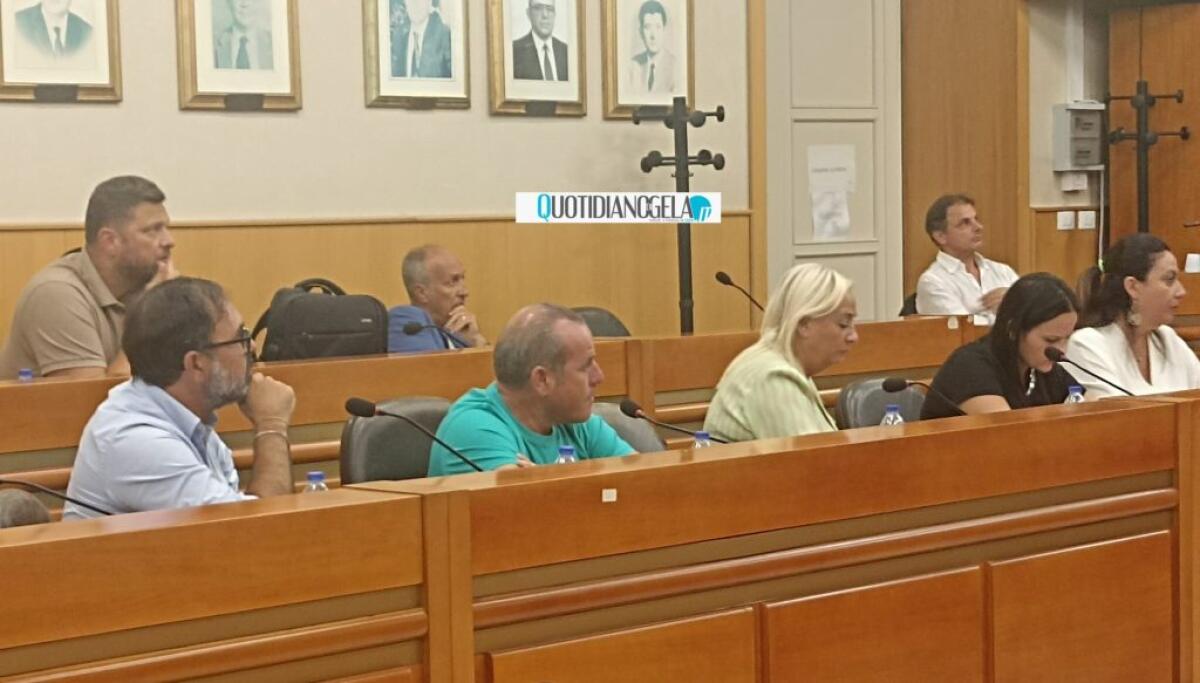 Consiglio comunale, mosse fuori dai partiti: Cosentino nel gruppo misto - I consiglieri di opposizione