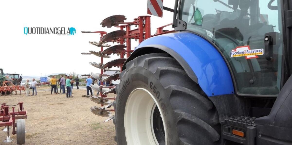 Agricoltori in ginocchio, non solo la siccità: carenze e prezzi crollati, una lunga agonia - 