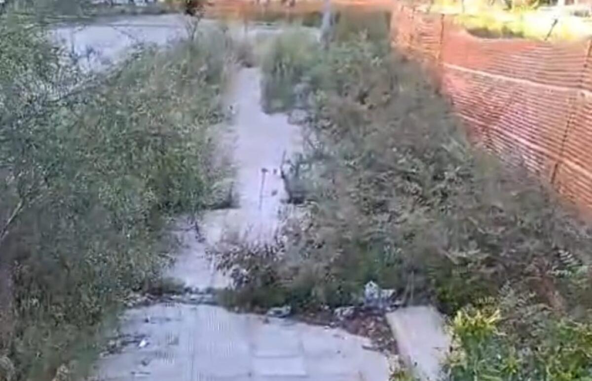 Marciapiedi impraticabili, verde incolto e sterpaglie ostruiscono il passaggio - 