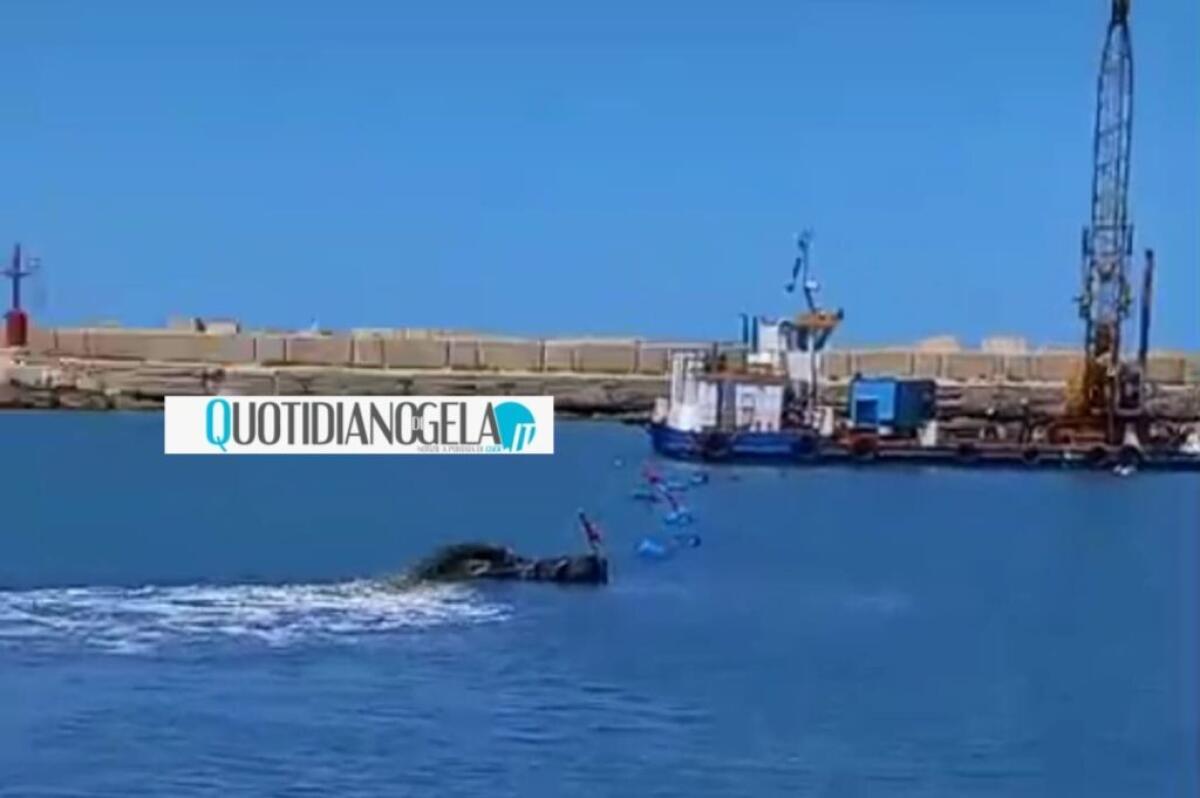 Porto, Scuvera convocato in commissione: Zappietro, "non escludiamo un'interrogazione" - 