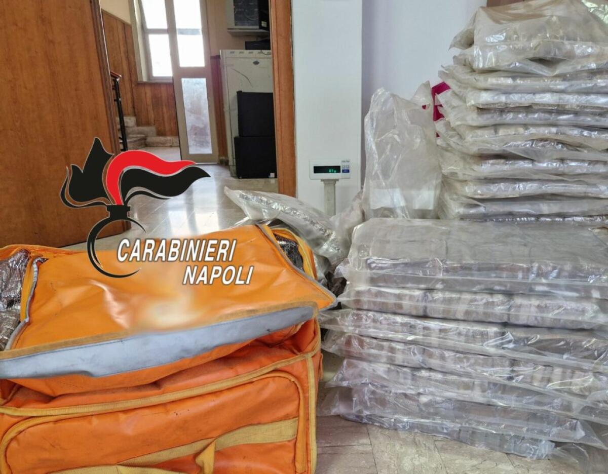 Sequestrati 190 chili di hashish, 2 rider della droga arrestati a Napoli - 