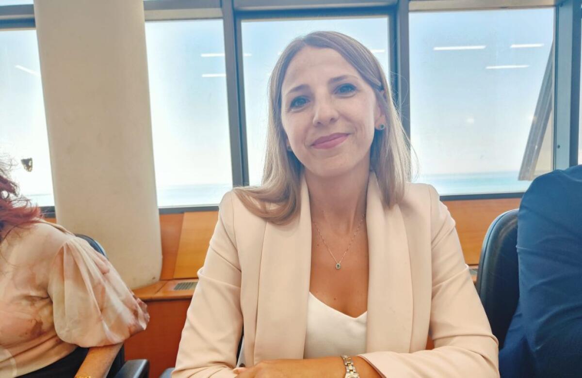 Favitta e Arancio si sono dimessi, Alabiso frena: "Non m'interessa fare l'assessore, serve confronto" - 