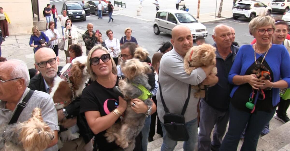 Tanti amici animali alla benedizione per la festa di San Francesco -