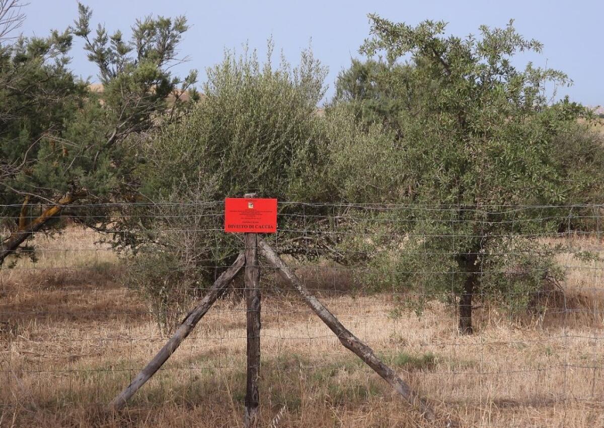 L'area di Geloi Wetland dichiarata "fondo chiuso": non sarà possibile nessuna attività di caccia -