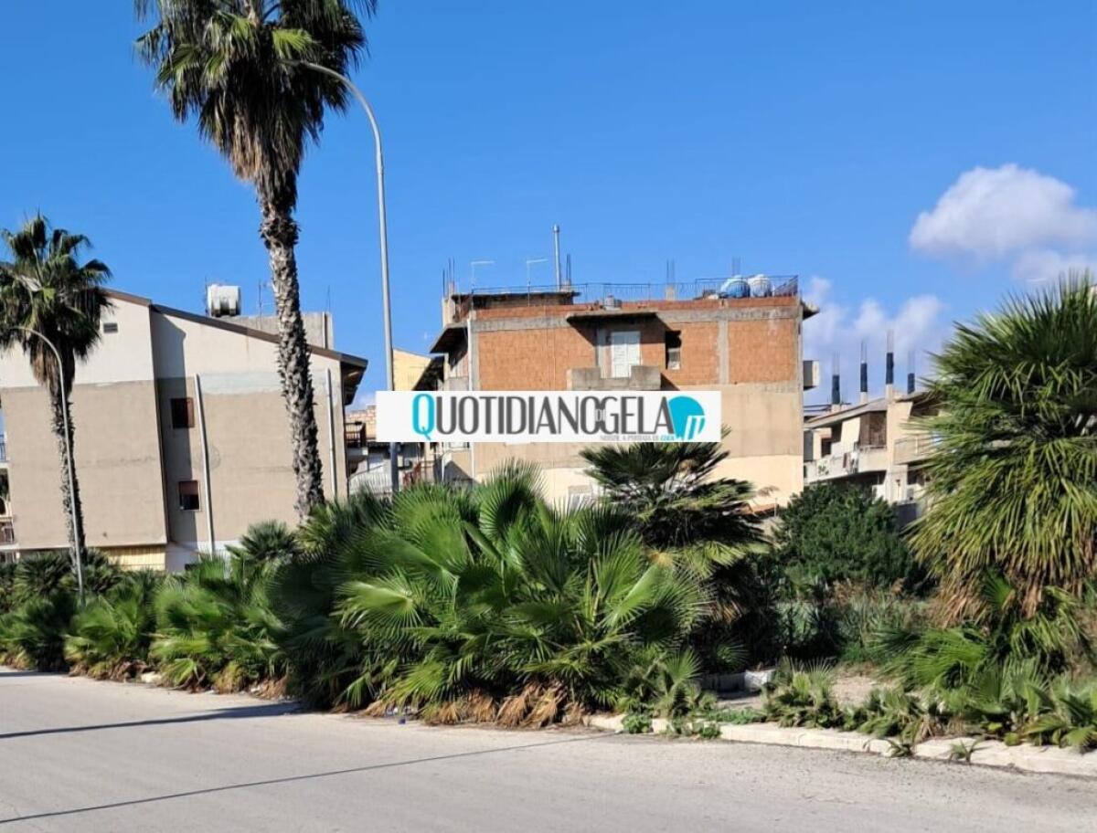 Via Australia, aree verdi senza manutenzione: marciapiede impraticabile - 