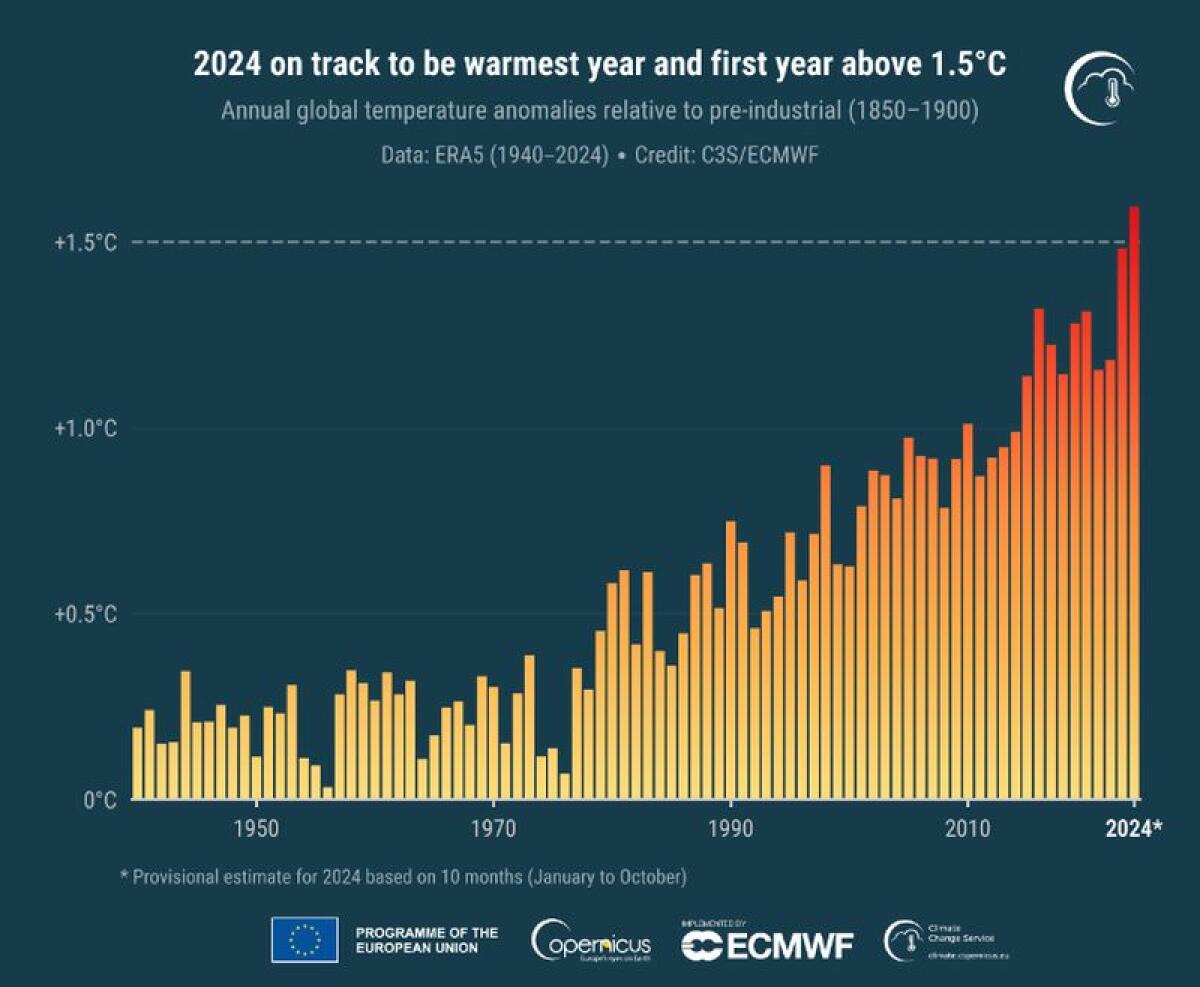 Allarme Copernicus, il 2024 sarà l’anno più caldo di sempre - 
