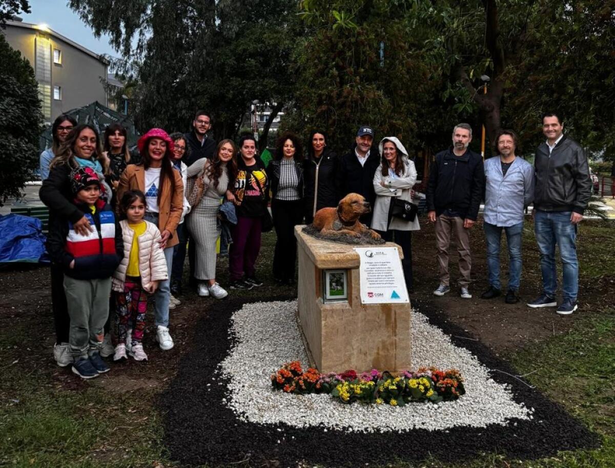 “Bentornato a casa”: sotto la pioggia, il commovente tributo a “Biagio il randagio” - 