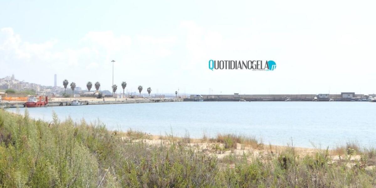 Porto, commissione pronta a convocare Di Stefano: "Riferisca anche su ragioni nostra esclusione" - 