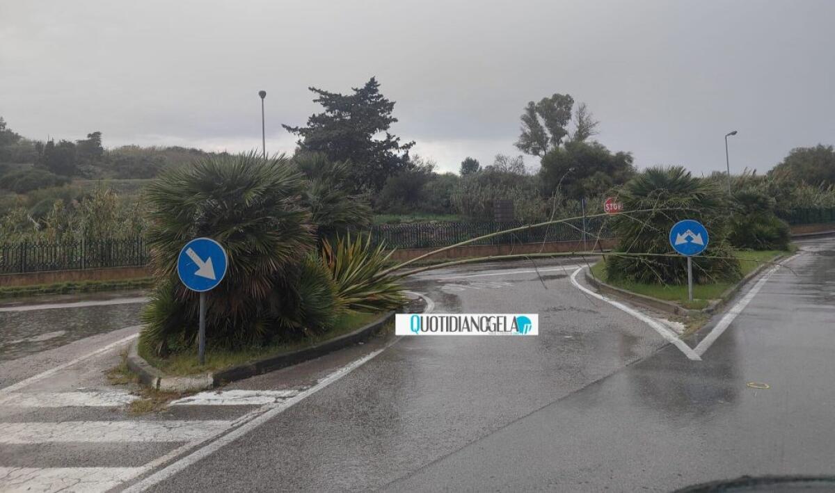 Pioggia e forte vento, in città disagi lungo le strade - 