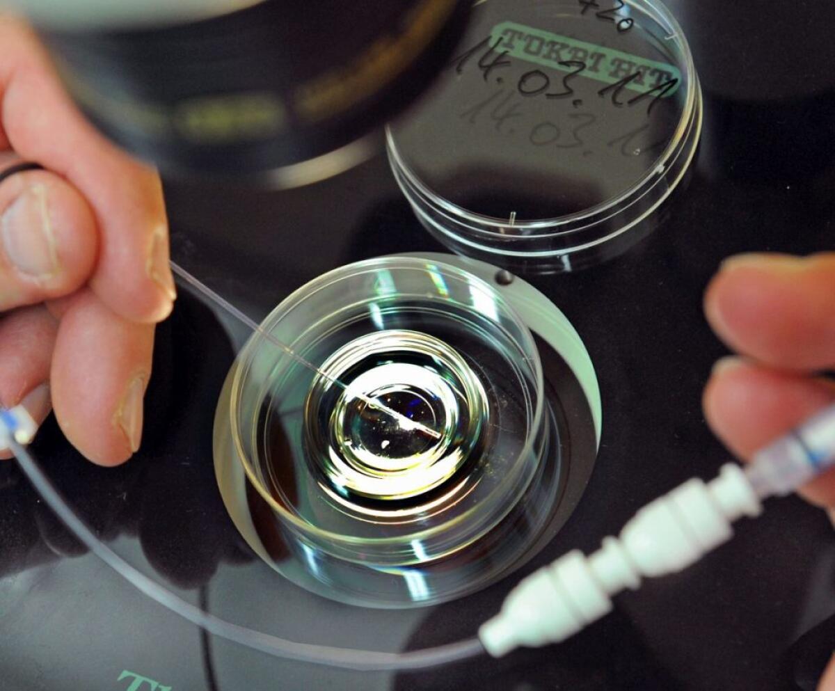 Procreazione assistita è nei LEA, Salutequità “Evitare diseguaglianze” - 