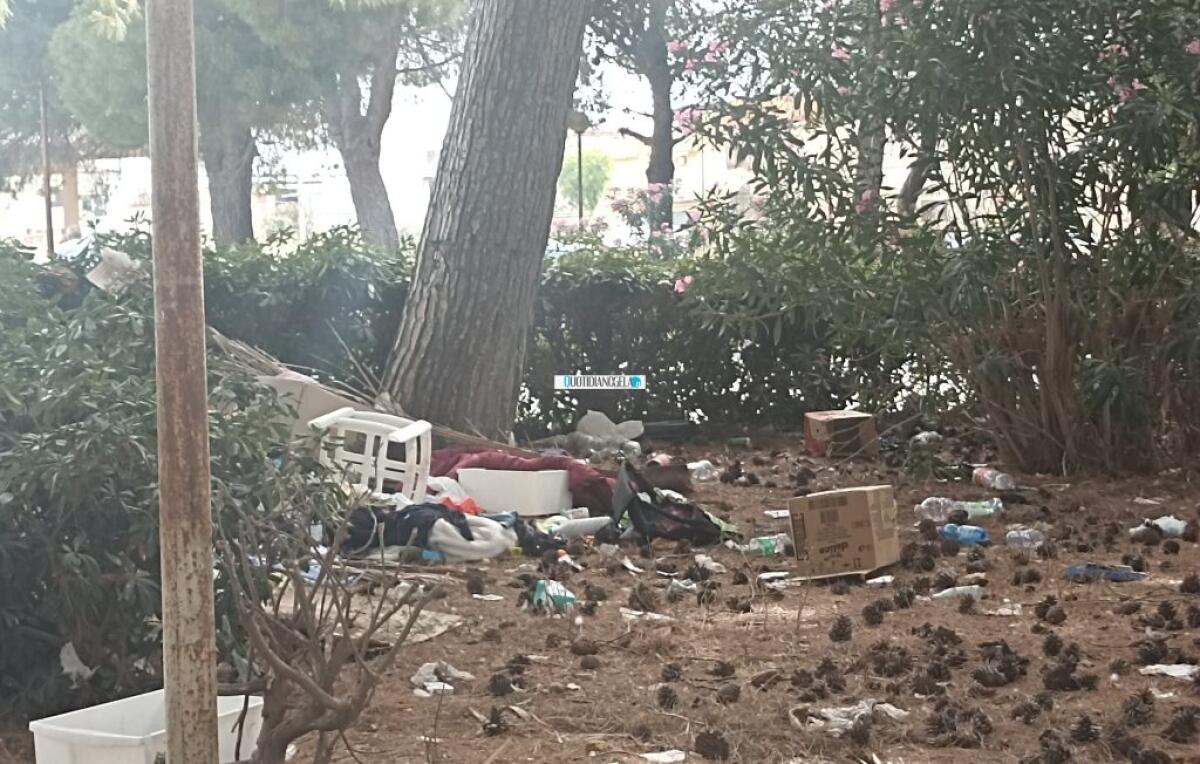 Macchitella e piazza Setti Carraro, manutenzione e riqualificazione del verde affidate a Ghelas - L'area di piazza Setti Carraro