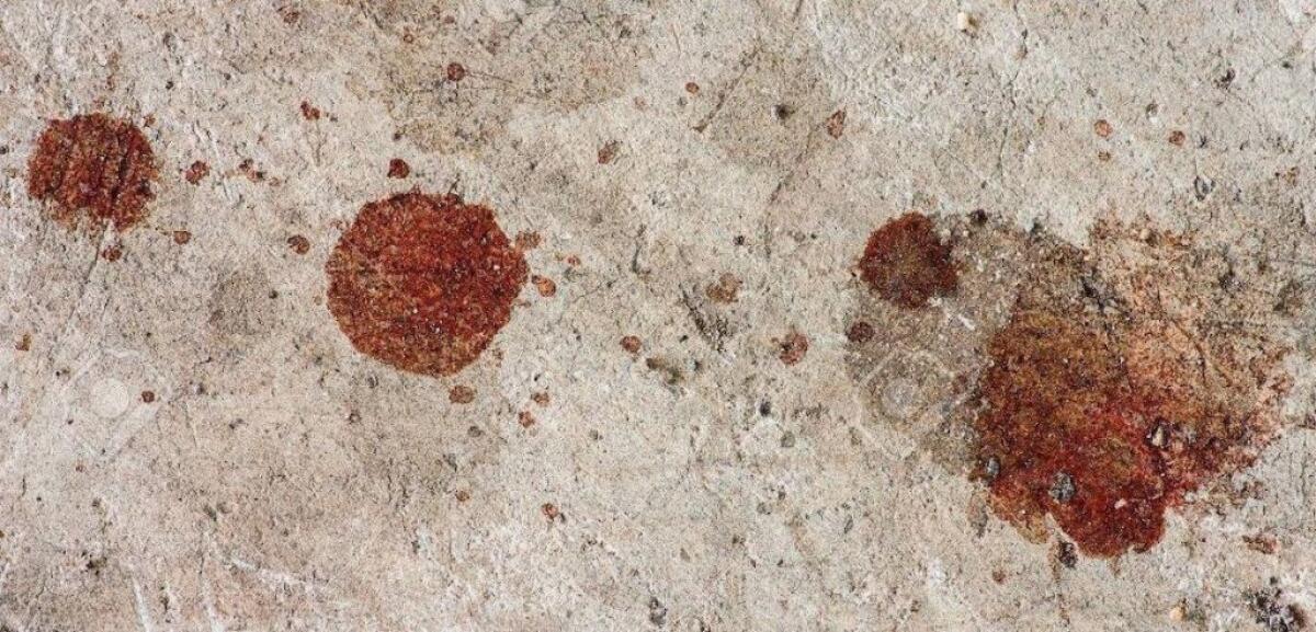 Coltellate ad un rivale, arrestato diciannovenne niscemese: è accusato di tentato omicidio - 