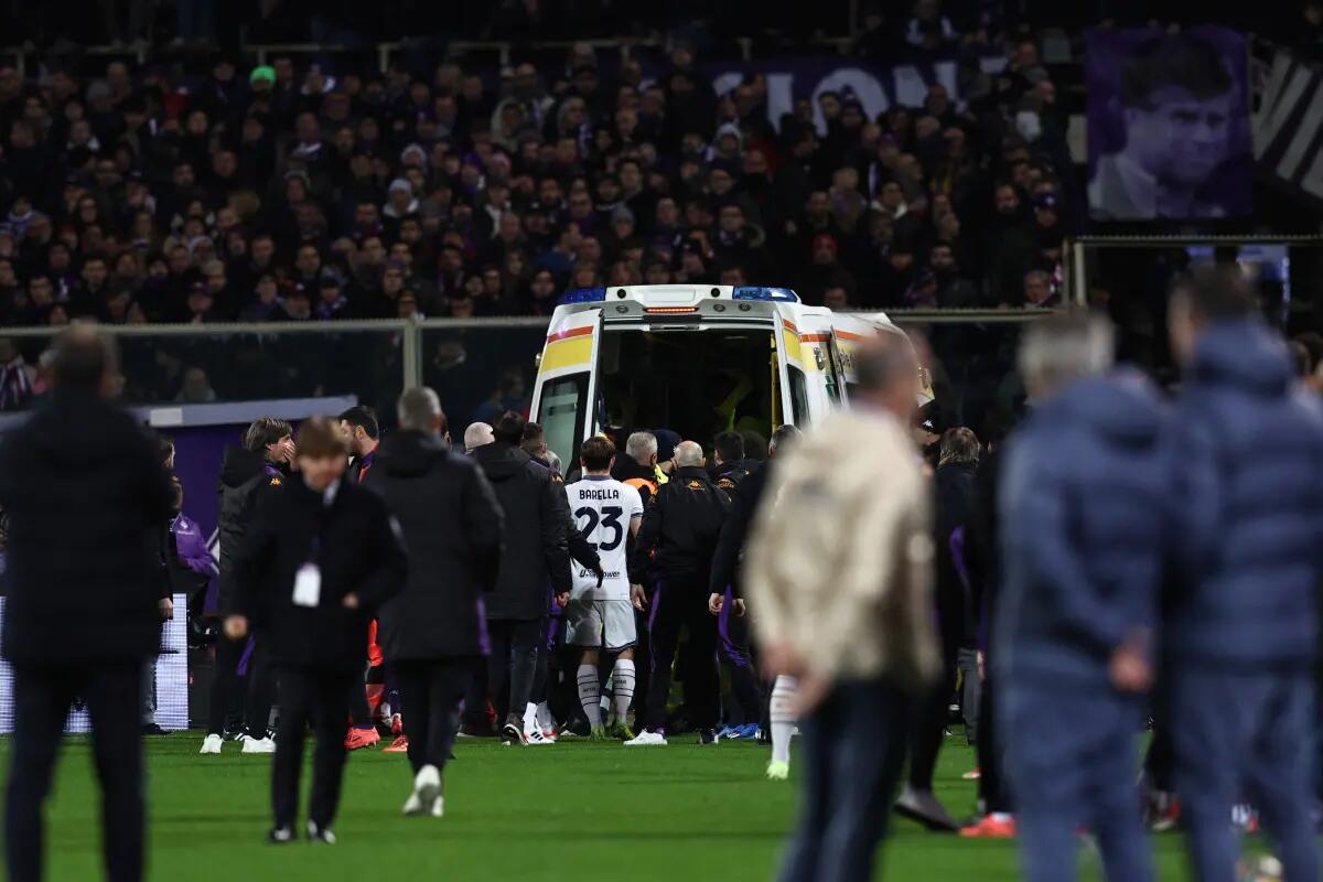 Bove in terapia intensiva, esclusi danni acuti - 