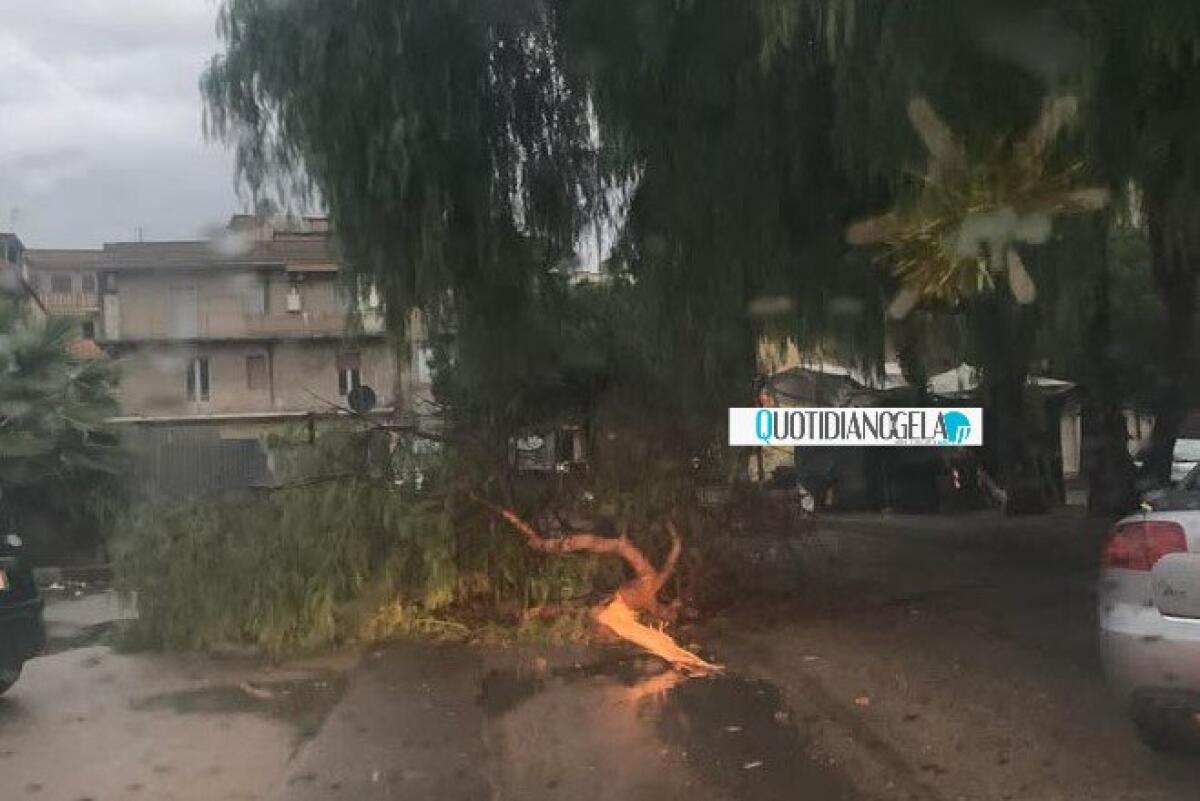 Domenica di intenso maltempo in città, ancora cedimenti e alberi in strada - 