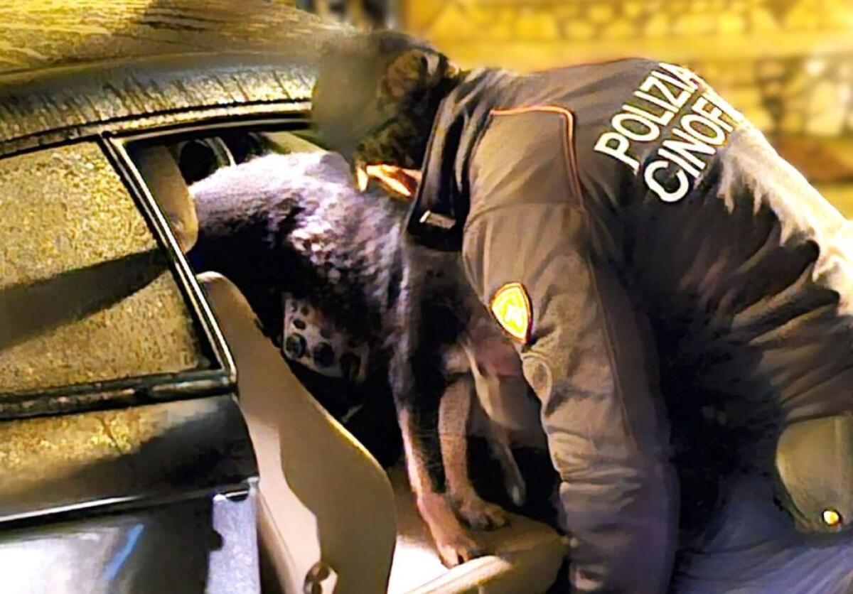 Stroncato traffico di droga a Caltanissetta, 8 misure cautelari -