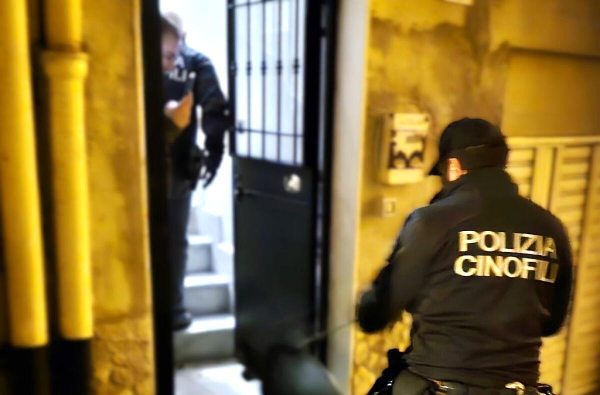 Blitz a Caltanissetta, individuata organizzazione per il traffico di droga: "Si rifornivano a Gela" - 