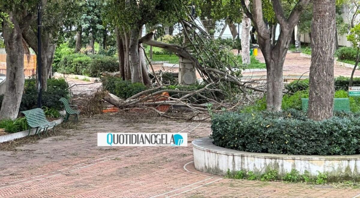 Villa chiusa da venti giorni, Fava: "Anticipati gli interventi, riapre la prossima settimana" - 