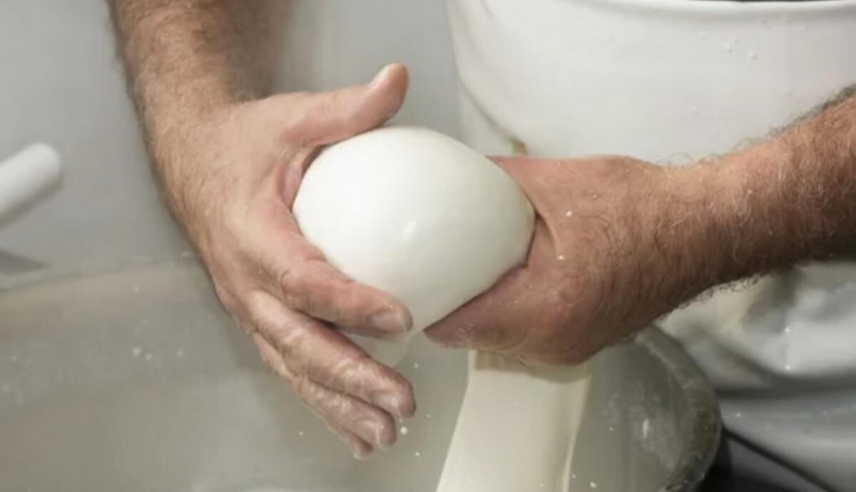 Presunti illeciti nei controlli a caseifici e attività, assolti dipendenti Asp e operatori - 