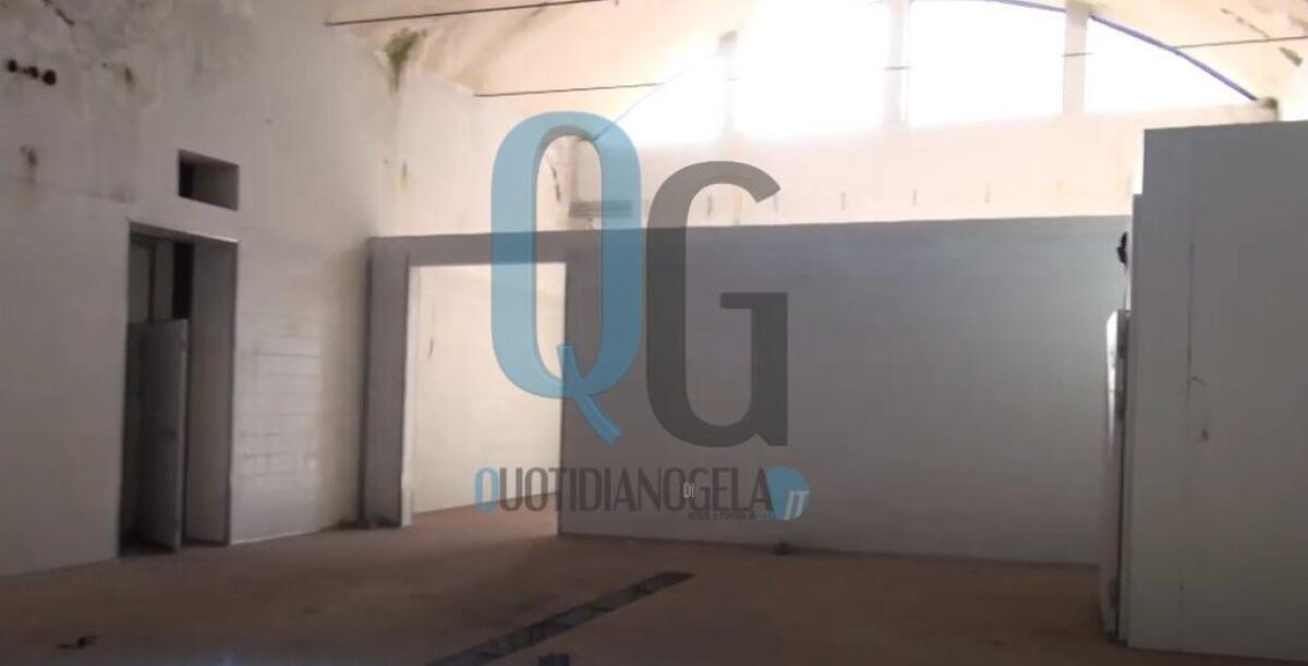 Hub alimentare, niente ex mattatoio: Macchitella Lab entro settembre? - La struttura interna dell'ex mattatoio di via Cascino