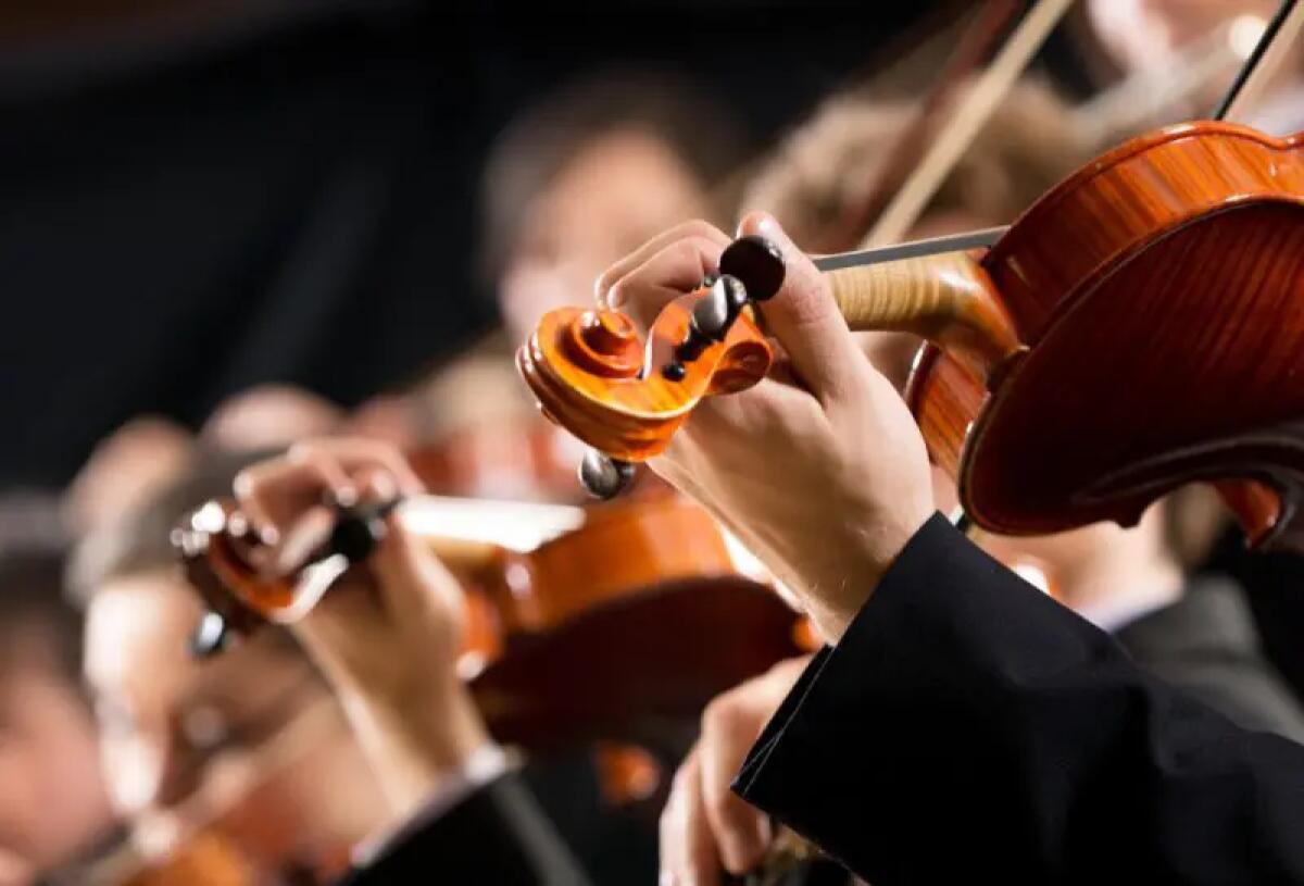 Tivusat, l’anno nuovo inizia con un omaggio a Mozart - 