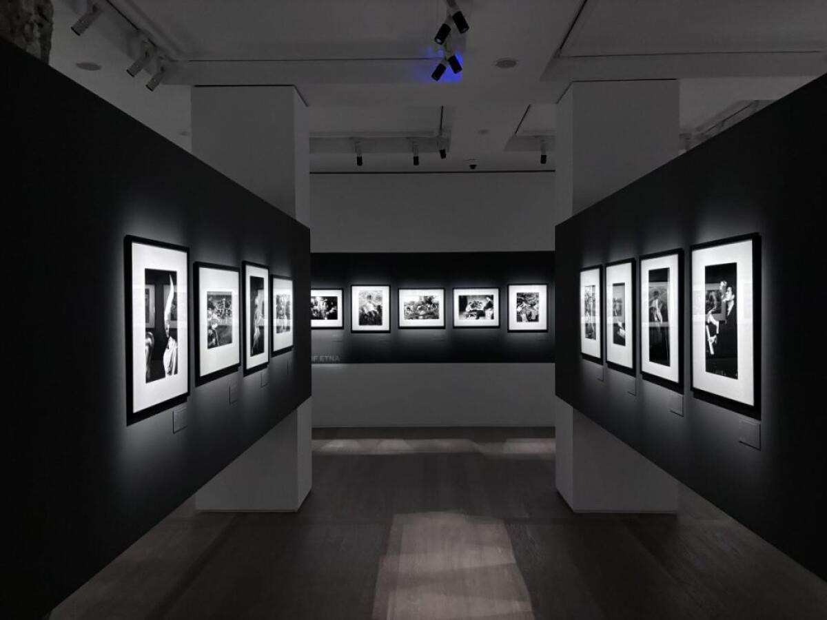 Milano, Sellerio in mostra alle Gallerie d’Italia di Intesa Sanpaolo - 